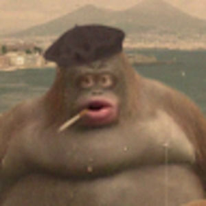 Meet your Posher, Harley